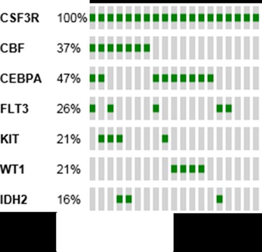 Figure S19. Co-occurring mutations with CEBPA. (a) Oncoprint (http://www.cbioportal.org) showing all TARGET samples with functionally-validated CSF3R mutations 20.