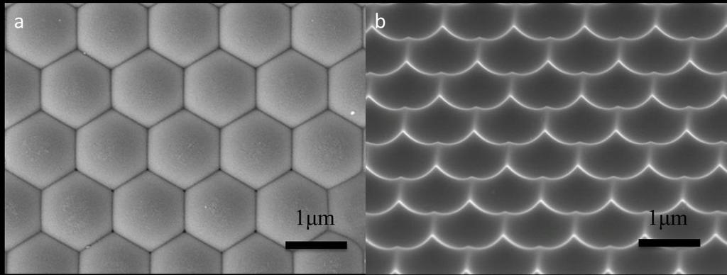 Supplementary: SEM of 3-D Al NSP array substrate and solar cells fabricated on them Figure S1: (a) Bottom view of AAO with hexagonal order showing there is no space between