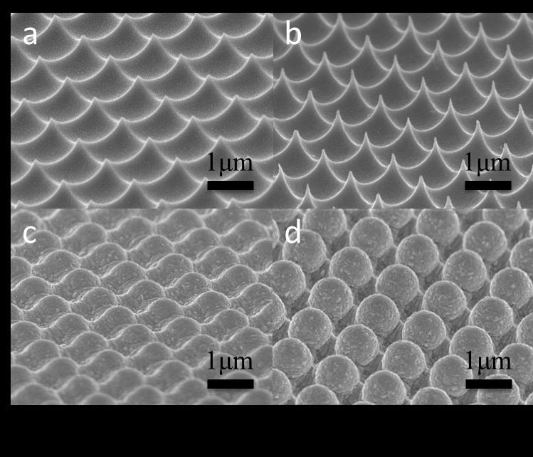 Figure S3: 60 degree tilted view SEM image of NSP array of (a) NSP 400, (b) NSP 800