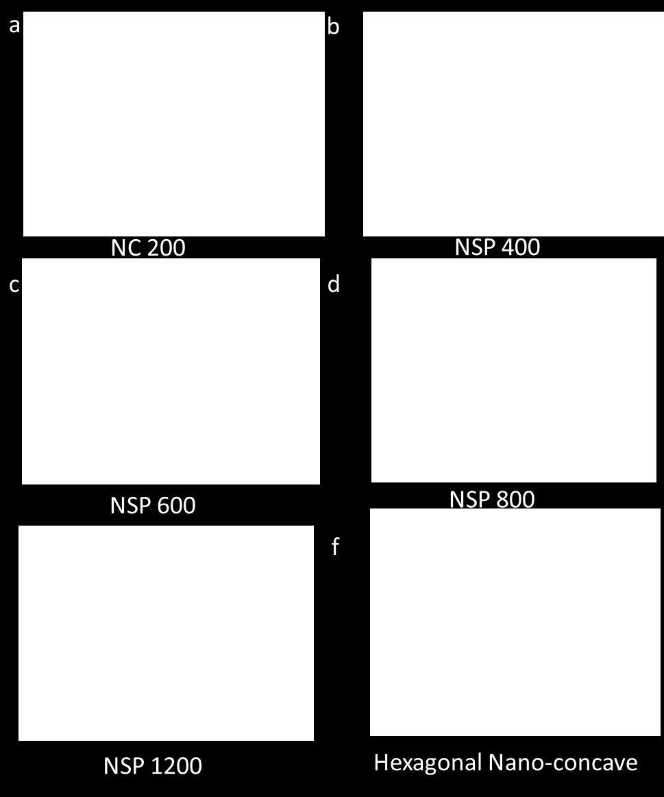 image of (a) NC 200, (b) NSP 400,