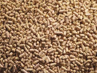 BIG 4 PELLETS FOR TURKEYS AND NON-LAYING GAME BIRDS PREMIUM PELLETED FEED Crude Protein, Min. 20.00% Lysine, Min. 1.00% Methionine, Min. 0.35% Crude Fat, Min. 3.50% Crude Fiber, Max. 4.50% Calcium, Min.