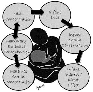 Breastfeeding Alcohol By Roslyn Giglia 15 September 2008 Overview Physiological effect of alcohol on lactation Effect of