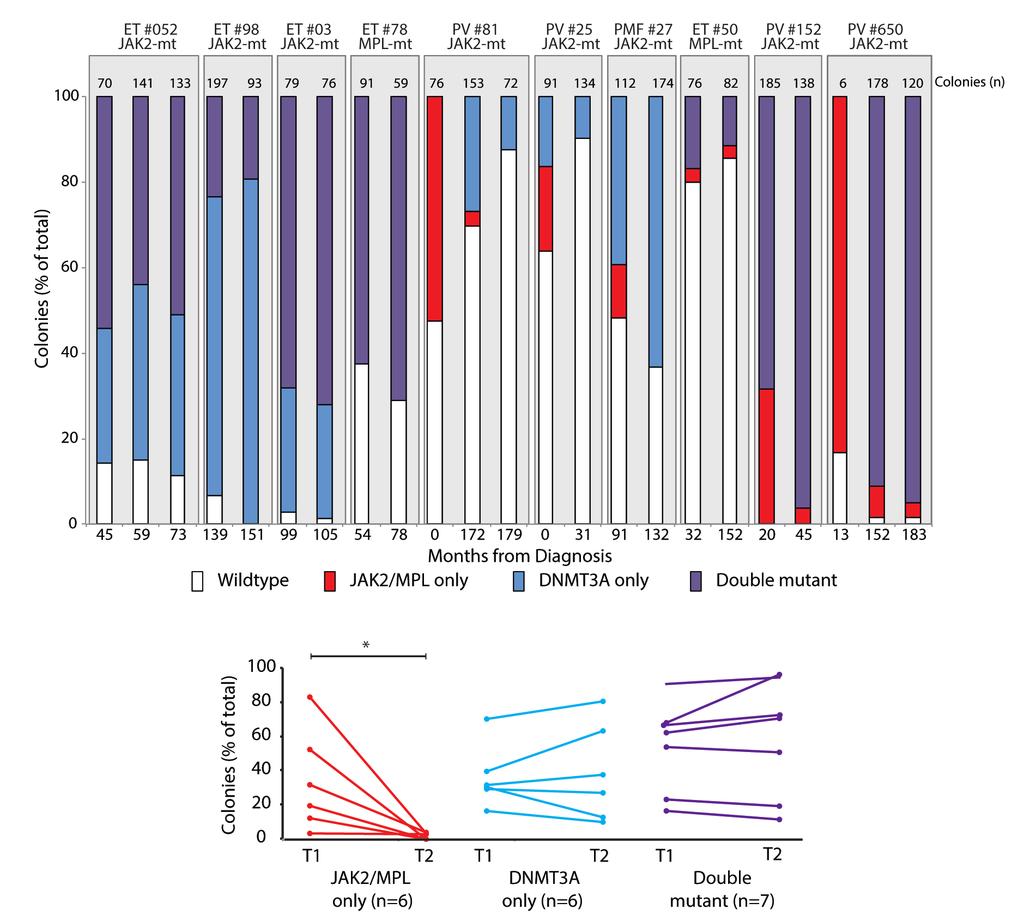 A B Figure 3. Evolution of subclones in DNMT3A-mutated MPN. (A) Colonies grown from paired samples obtained at different time-points (median separation 35 months; range, 6-179 months) in ten patients.