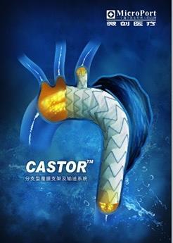 Single branch device CASTOR Branched Aortic Stent-Graft System MicroPort Endovascular 11 centers in China 73