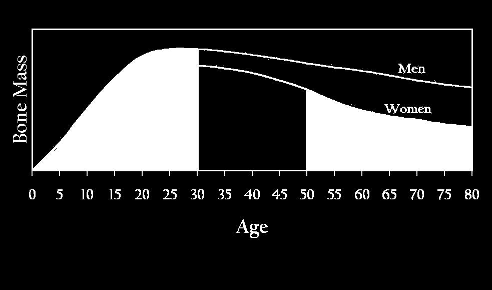 The Lifecycle of Bones Major-Bone Building Increased Risk About 90% of bone mass develops by 18 years of age Skeletal growth continues until mid/late 20