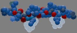molecule α2 9 peptides Class I MHC molecules acquire peptides from