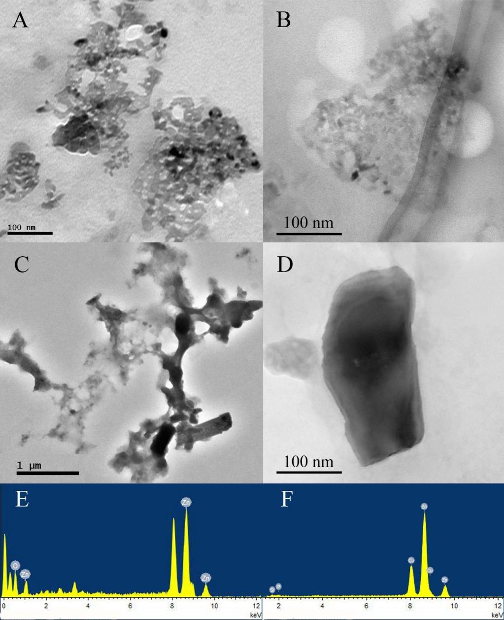3. TEM images of ZnO particles separated from the animal food samples Fig. S2 The morphology and size of ZnO-NPs and ZnO-MPs separated from the animal food.