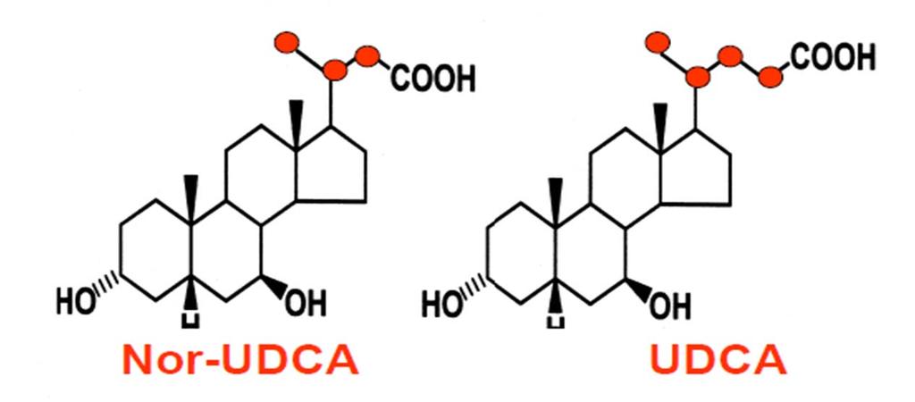 Terapija z zamenjavo žolčnih kislin (displacement therapy) Ursodiol (UDCA) Dodajanje HDCA in UDCAza raztapljanje žolčnih