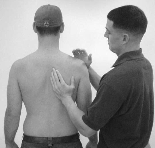 Once set, scapular motion during arm elevation should include progressive upward rotation, external rotation, and posterior tilt that are controlled and consistent.