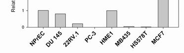 B) Quantitative real-time reverse transcription-pcr analysis of PHD3 was performed with normalization to 18S rrna gene expression. Figure 2.