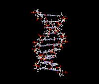 Methane with 1 Carbon atom DNA