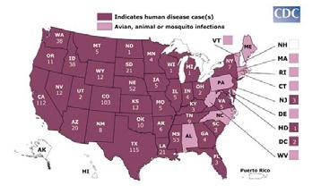 West Nile virus First detected in the US in 1999 and became notifiable in 2002 Spread to humans