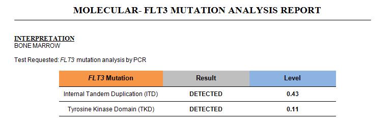 Fast TAT Single Gene Heme Tests Results NPM1, IDH1,