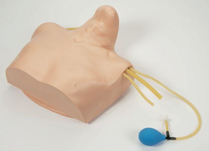 Disconnect the pulse bulb on the carotid pulse tubing.