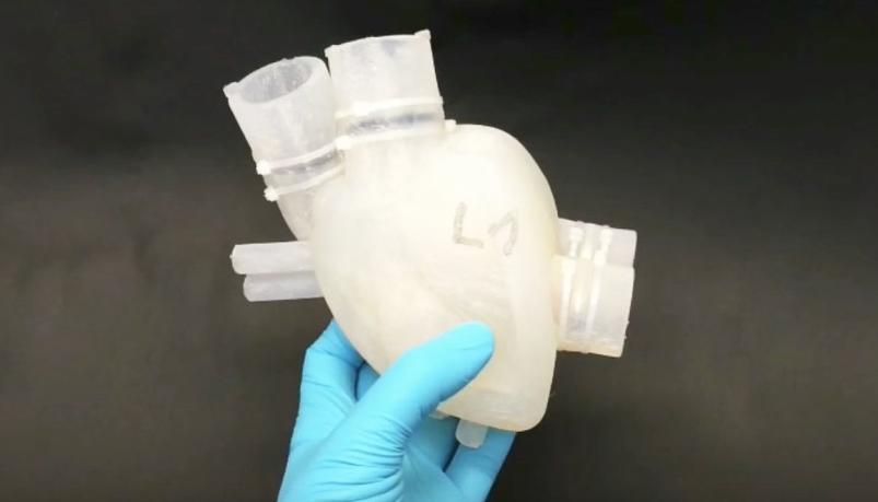 3D Printed Researchers have developed a silicone heart that beats almost like a human heart.