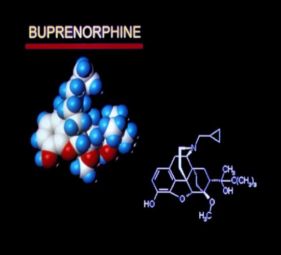 Buprenorphine: Pharmacological Characteristics Partial Agonist (ceiling effect) -less euphoria -safer in overdose Induction: stabilization period only 3 days High Receptor Affinity -long duration of