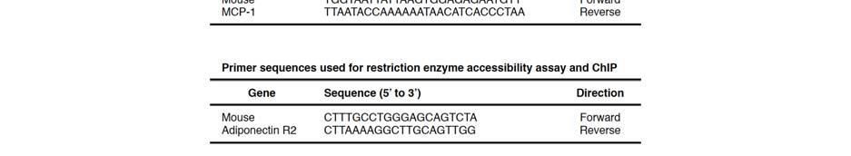 restriction enzyme