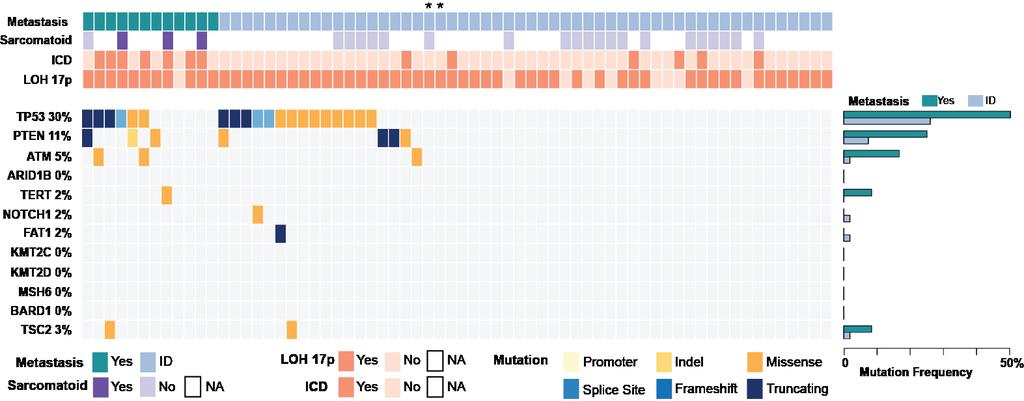 Supplemental Figure 4. Genomic alterations in the TCGA-KICH cohort by WES/WGS. Oncoprint of ploidy status and frequency of nonsynonymous mutations in 66 primary tumors.