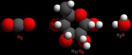 carbon, nitrogen, helium Molecule