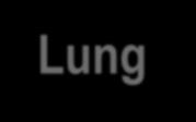 Lung cancer mortality: 10-20-2010 Arm Person Years (py) Lung cancer deaths Lung cancer mortality per 100,000 py Reduction in lung cancer mortality (%) Value of test statistic Efficacy boundary LDCT