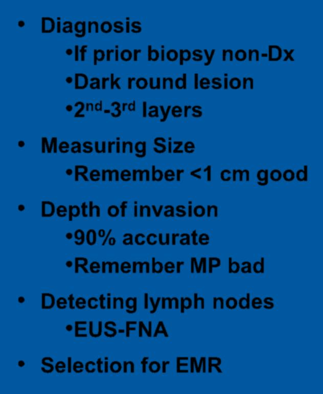 Diagnosis If prior biopsy non-dx Dark round lesion