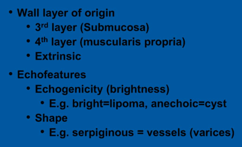 Echofeatures Echogenicity (brightness) E.g. bright=lipoma, anechoic=cyst Shape E.