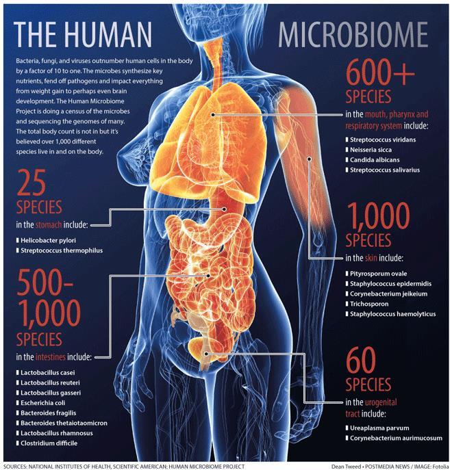Human Microbiome Project A total of 4,788 specimens from 242 screened and phenotyped adults (129 males, 113 females)