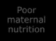 Nutrition is important to the health of pregnant women and
