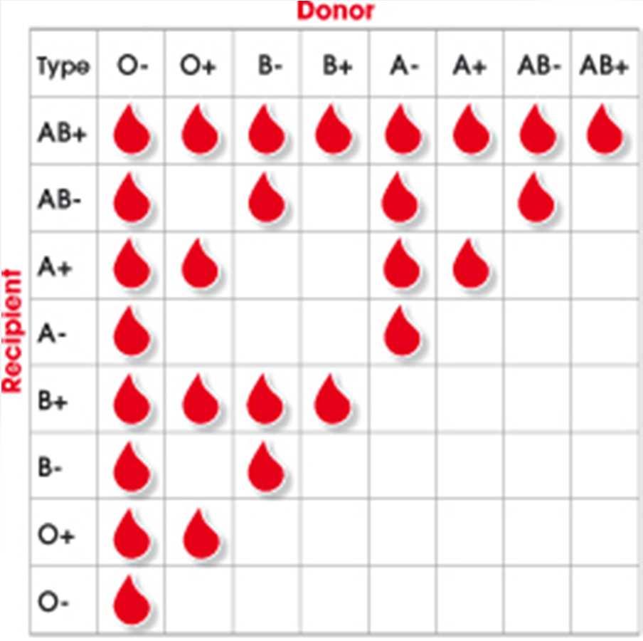 Blood Types UNIVERSAL DONOR O UNIVERSAL RECIPIENT AB Red cells also