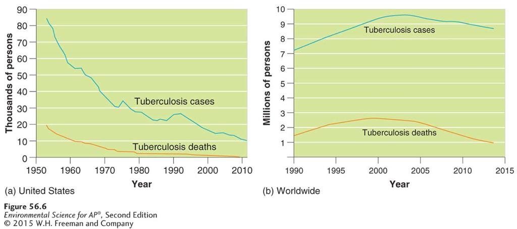Tuberculosis Tuberculosis cases and deaths.