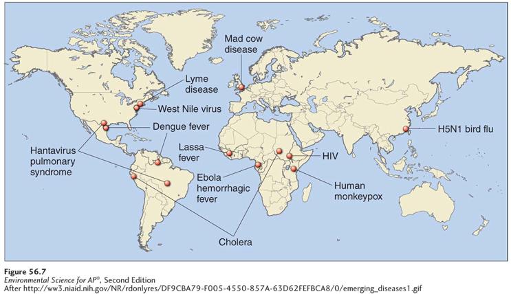 Emergent infectious diseases pose new risks to humans Emergent infectious disease An infectious disease that has not been previously described or has not been common for at least 20 years.
