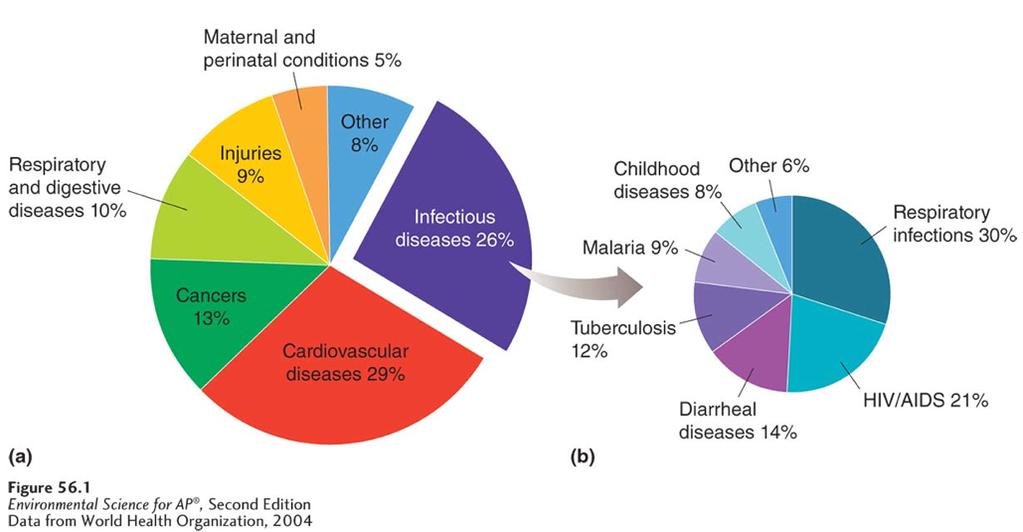Types of Human Diseases Leading causes of death in the world.