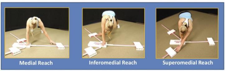 Upper Extremity Tests upper quarter mobility and stability of both reach and stance