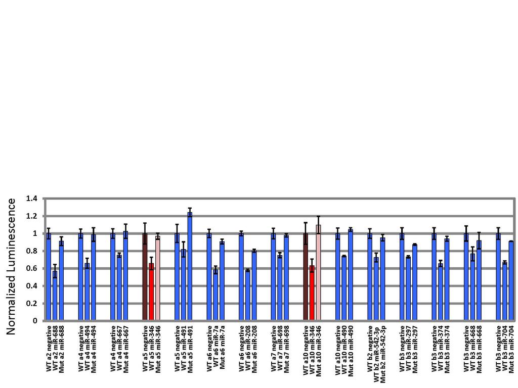 16 Figure 2.1. Results of luciferase screen of orphan mirna library against nachr 3 UTRs. Subunits affected by mir-346 are highlighted in red.