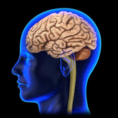 Teen Brain and Addiction Our brain is not completely developed during the teen years.