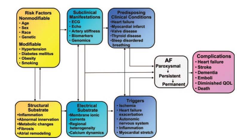 Pathophysiology of AF Benjamin EJ,