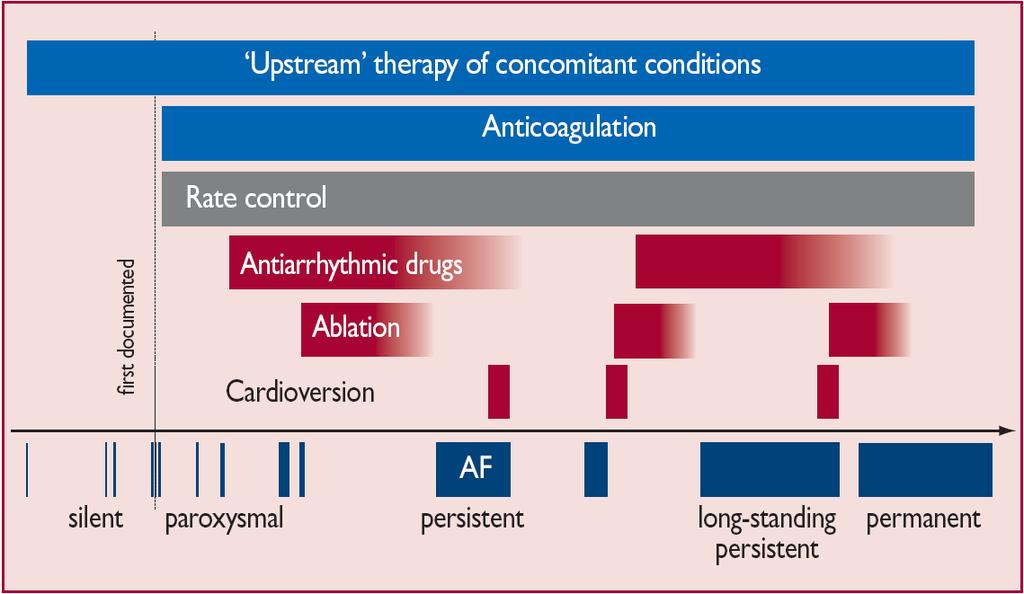 Types of Atrial Fibrillation at risk for AF? Camm AJ et al.
