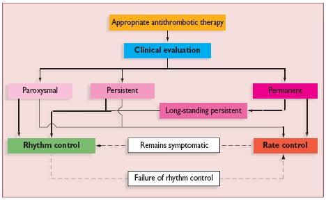 Types of Atrial Fibrillation Choice
