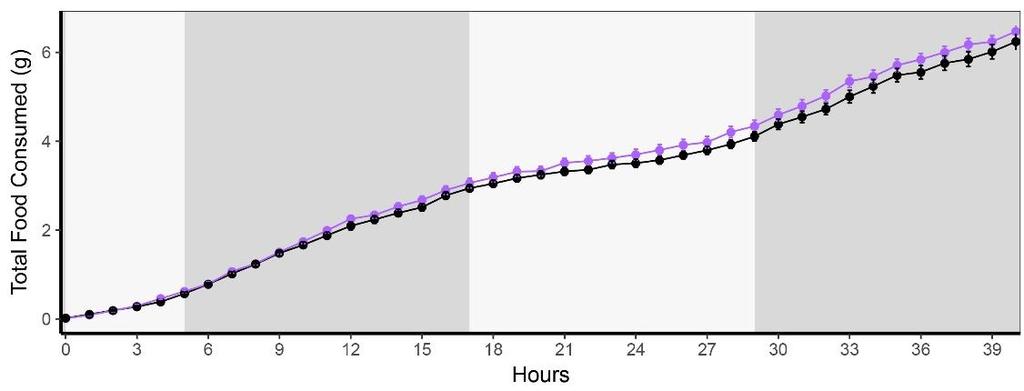 following acclimation. () Time plot of Energy Expenditure.