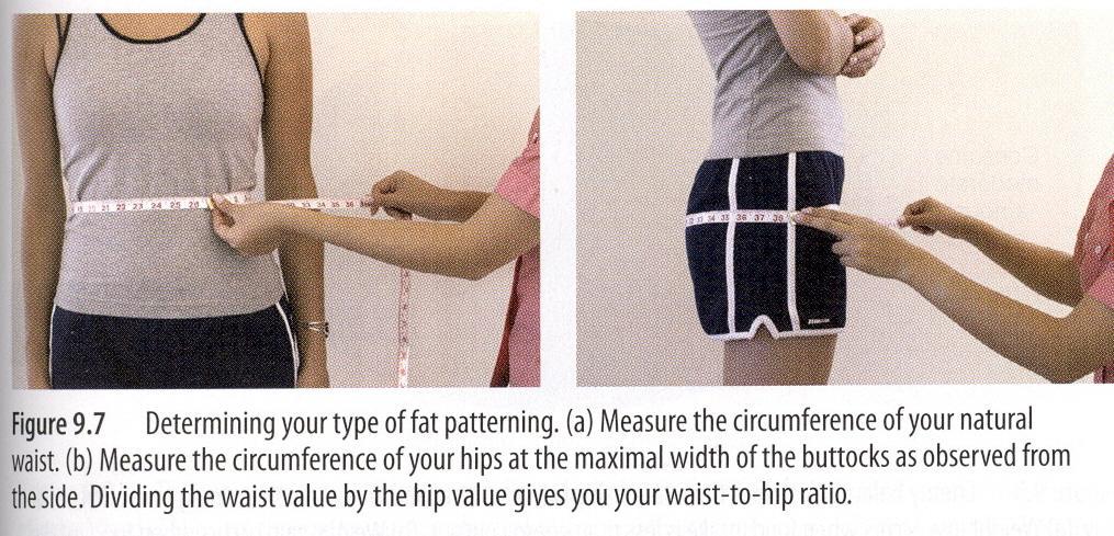 Hip: Measure circumference: maximal width of