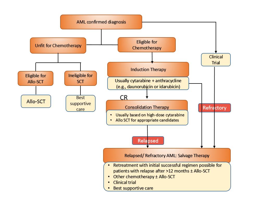 Figure 4.1. Treatment pathway for management of AML. Target population [A0007] What is the target population in this assessment? This submission relates to patients found to have de novo AML only.