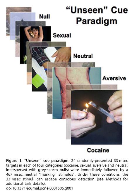 Reward circuitry responds to drug /sexual cues outside of awareness Male treatment
