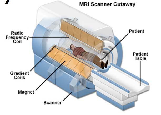 MRI scanner A strong magnet for homgeneous magnetic B0 field Radio Frequency Coil