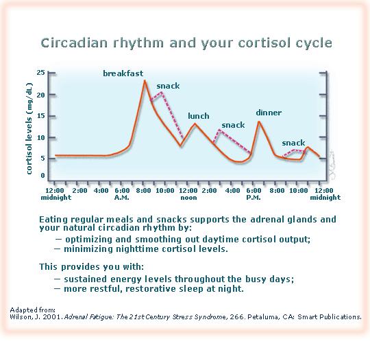 Keep in mind that cortisol will also rise a bit with exercise. Lighter activities, such as a walk after dinner or some gentle stretching, will not interrupt this natural tapering-off process.