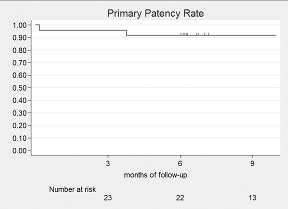 Results: patency rates Primary patency estimates by Kaplan-Meier analysis were 92% at 6