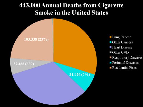 JAMA 24; 291:1238-1245 5 1 15 2 Percentage (of all deaths) Smoking and Tobacco Smoke Pollution Damage Every Part of the Body