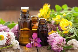 What are essential oils o Aromatic volatile liquids found in shrubs, flowers, trees, roots, bushes, and seeds Extracted via