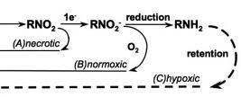 Oxygenation treatment resistance [ 18 F]MISO Nitroreductase Re-oxidation TCA cyclus Oxidativ phosphylation