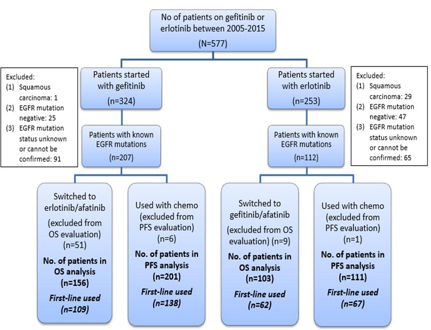 Figure 1. Selection procedure of patients used in the study.