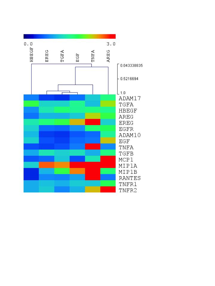 Supplemental Figure 4: ADAM17 pathway and proinflammatory markers induction by different EGFR ligands in HPTC.